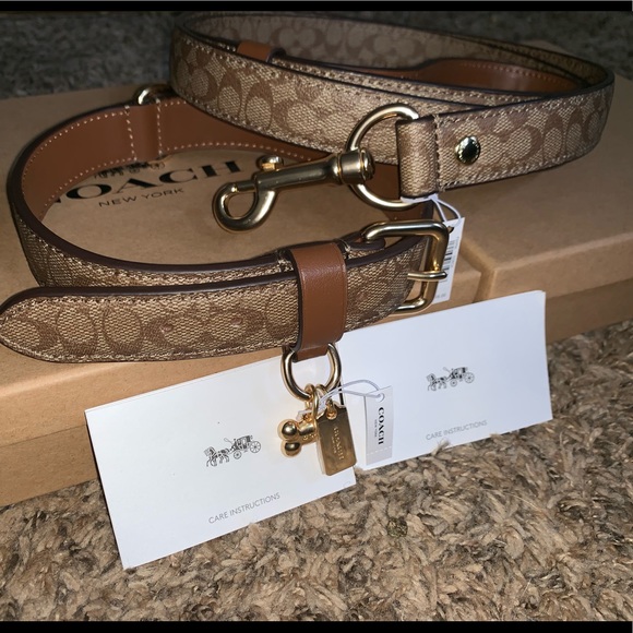 coach dog collar large